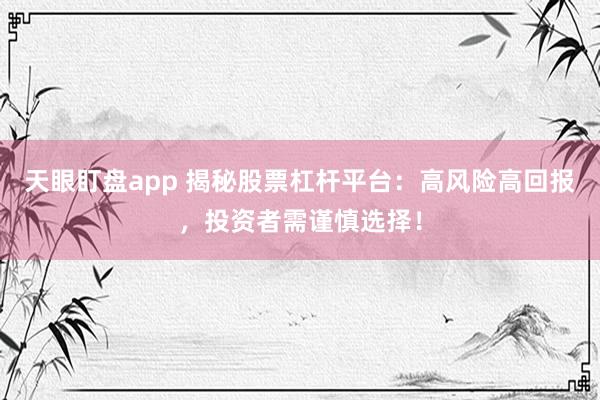 天眼盯盘app 揭秘股票杠杆平台：高风险高回报，投资者需谨慎选择！