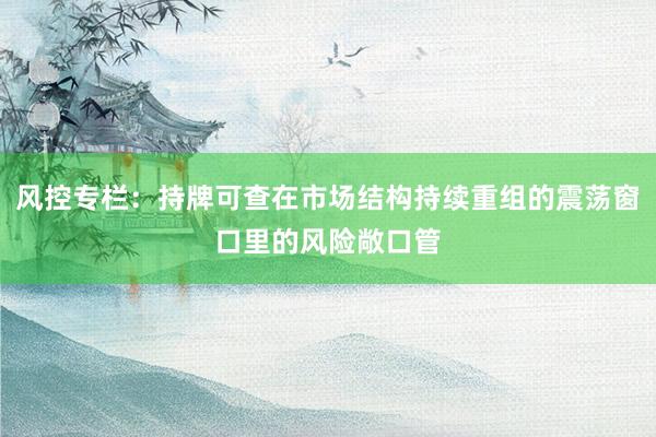 风控专栏：持牌可查在市场结构持续重组的震荡窗口里的风险敞口管