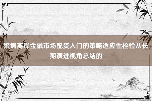 聚焦离岸金融市场配资入门的策略适应性检验从长期演进视角总结的