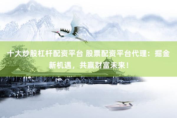十大炒股杠杆配资平台 股票配资平台代理：掘金新机遇，共赢财富未来！